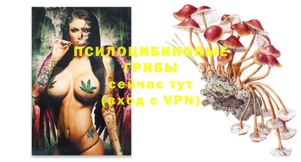 мяу мяу мука Надым