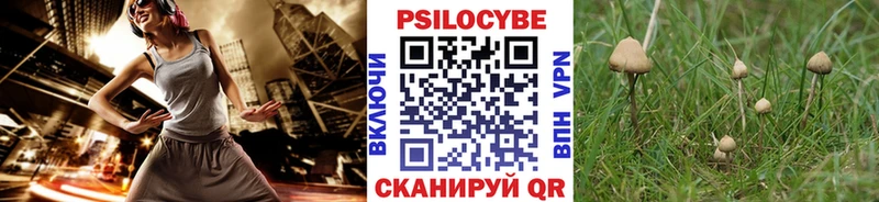 купить наркотики цена  Чебоксары  Псилоцибиновые грибы мухоморы 
