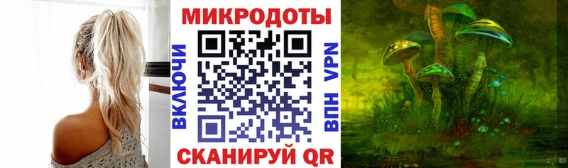 Галлюциногенные грибы Psilocybine cubensis Чебоксары