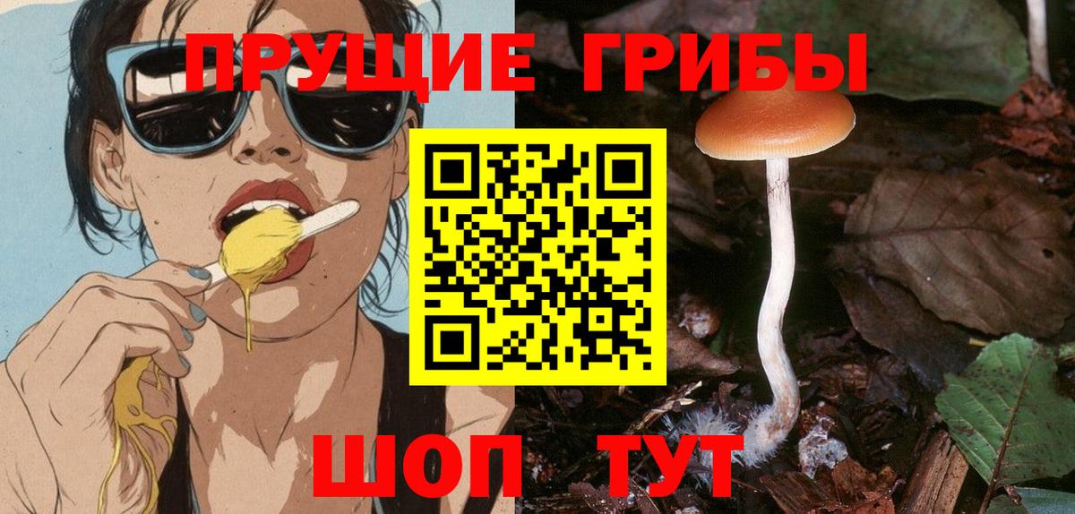 Чебоксары  Псилоцибиновые грибы Magic Shrooms  Вход с VPN 